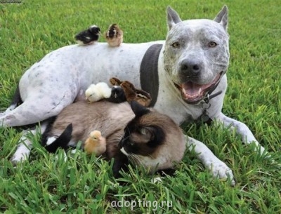 Как прекрасен этот мир, посмотри  - oBvokGQoSUI.jpg