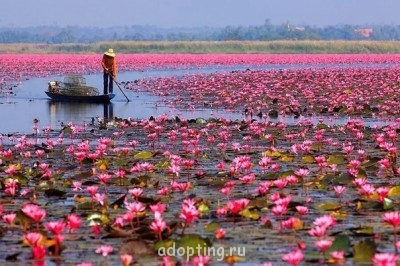 Мудрые слова - GSWUlyWeAnM.jpg