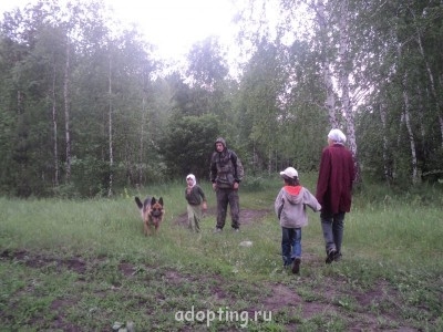 Зверье мое - DSC06245.JPG