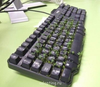 Хочу весну  - роп.jpg