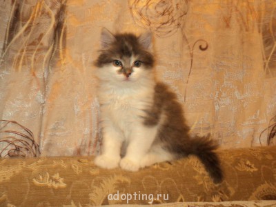 Зверье мое - DSC07362.JPG