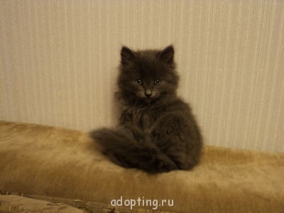 Зверье мое - DSC07428.JPG