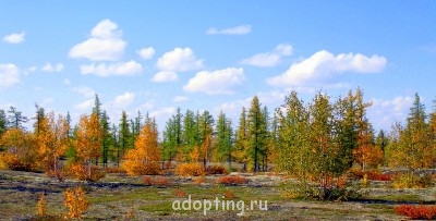 Милый сердцу уголок - с 030.JPG