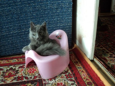 Зверье мое - DSC07615.JPG