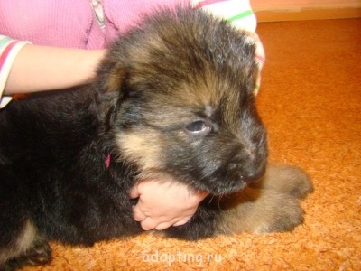 Зверье мое - DSC08702.JPG