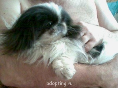 От улыбки солнечной твоей - 373.jpg