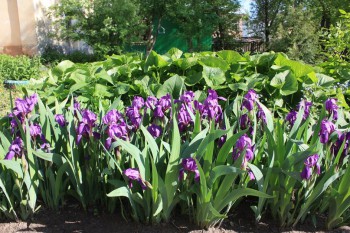 Новости нашего городка села  - YakCe50IRf0.jpg