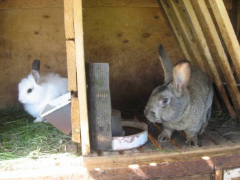 СПРАВА ВАСИЛИЙ - ОТЕЦ