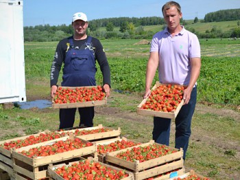 Улыбнитесь  - наше-фото-с-клубникой.jpg