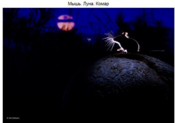 Как прекрасен этот мир, посмотри  - exx3_ZhpjlU.jpg