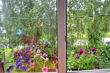 Украшаем улицу - сентябрь 2015 008.jpg