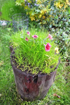 Украшаем улицу - сентябрь 2015 017.jpg