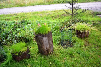 Украшаем улицу - сентябрь 2015 016.jpg