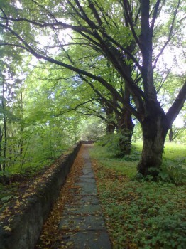 Осень - 22082014690 - копия.jpg