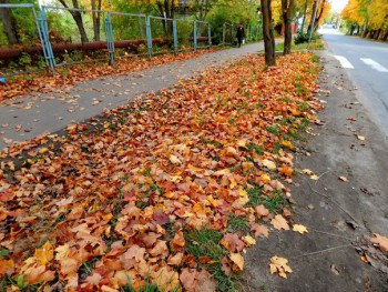 Осень в городе моего детства.