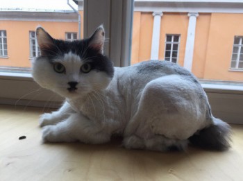 Улыбнитесь  - ndRN6zKhi14.jpg