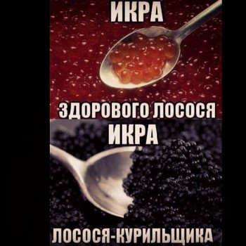 Улыбнитесь  - 12096349_1010126725716123_7794531759301085778_n.jpg