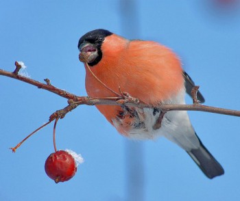 О погоде. Что нынче за окошком? - ar-AH462T44.jpg