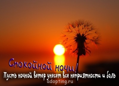 Доброе утро - приятных снов  - 0_c4b4_7086f232_XLкопирование.jpg