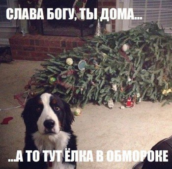 Подарки на Новый год - 10411974_770786472977020_668603551828756233_n.jpg