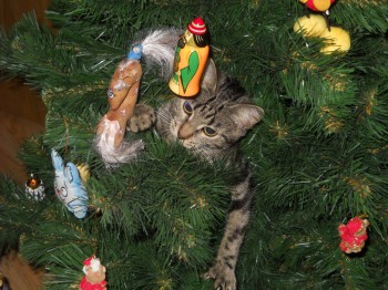 Вот как-то так...