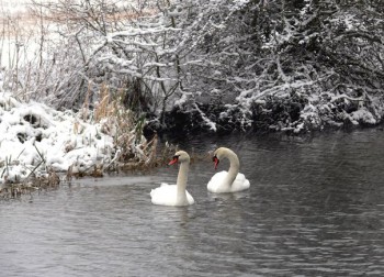 Зверье мое - YIU9bvbflcI.jpg