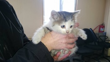 Это его только-только из машины вынули