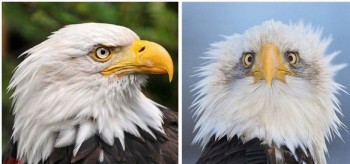 Улыбнитесь  - YEOUMl-USLA.jpg