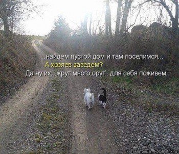 Зверье мое - 12522916_943449169082727_6638935389730810872_n.jpg