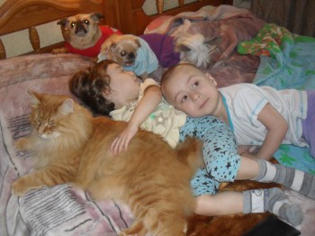 Зверье мое - SDC15432.JPG