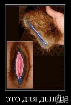 О времена О нравы  - 255dfb6a78cd.jpg