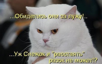 Улыбнитесь  - 12670930_226893560993164_2064071478379243651_n.jpg