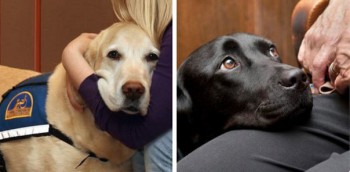 Зверье мое - RUsMIgDucTA.jpg