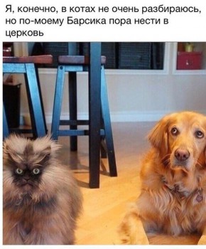 Улыбнитесь  - барсик.jpg