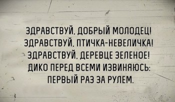 Улыбнитесь  - За рулем.jpg