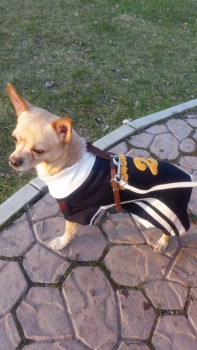 Зверье мое - tmp_19532-20160510_192439-1874330998.jpg