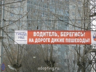 Веселые картинки - deee94f29185.jpg