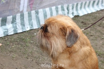 Зверье мое - IMG_5908.JPG