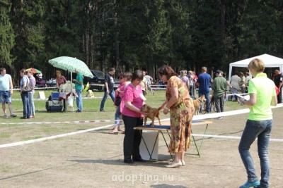 Зверье мое - IMG_5910.JPG