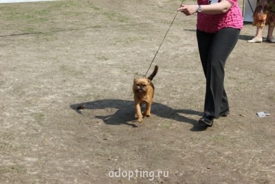 Зверье мое - IMG_5914.JPG