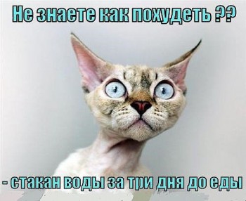 Дамские разговоры или как-таки похудеть - S0B_-y0CJ9E.jpg