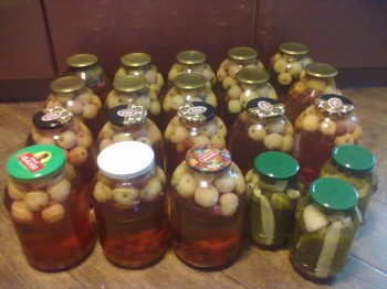 Заготовки из ягод - 160820161583.jpg