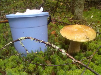 Осень - 080920161612.jpg