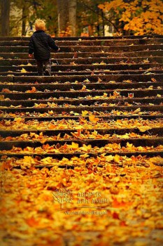 Осень - zrNWUxyYlGU.jpg