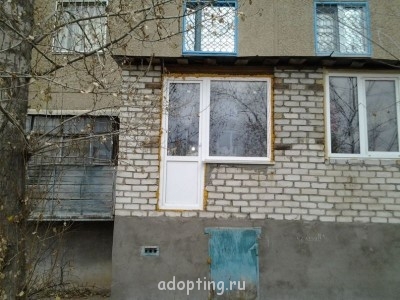 Веселые картинки - каждый день трупы из окна кидаю.jpg