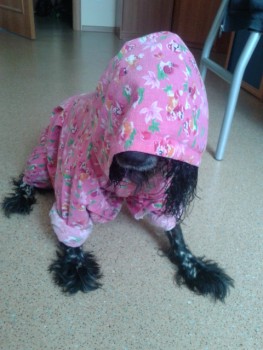 Зверье мое - 20160616_102214.jpg