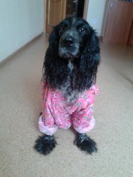 Зверье мое - 20160616_102148.jpg