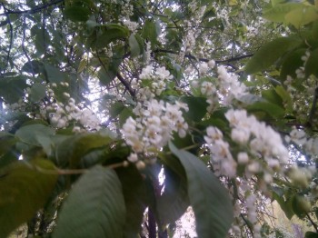 Нужна техподдержка - IMG_20170530_181538.jpg