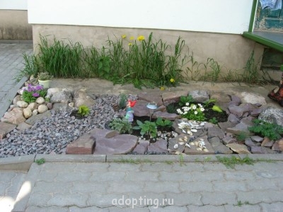  Сухой ручей  - cA18OZNp_tw.jpg