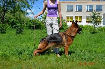 Красивая стоечка